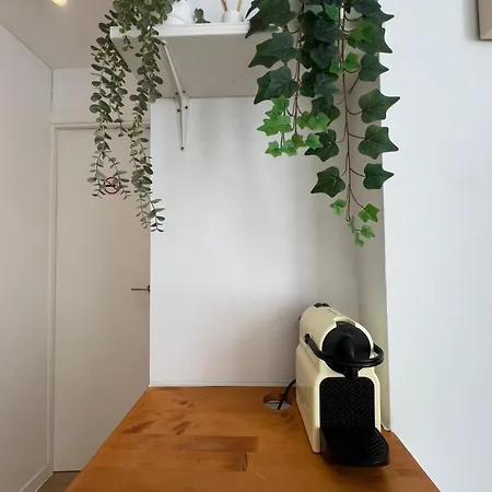 Congreso - * Torremolinos