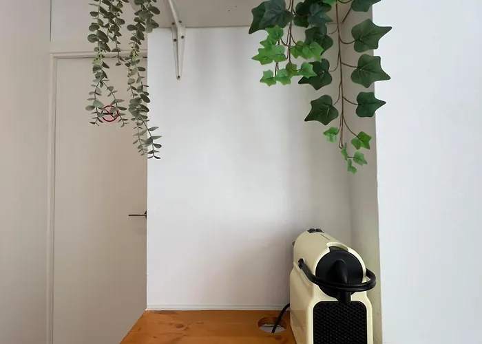 Congreso - * Torremolinos